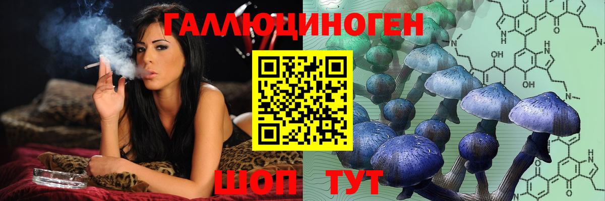 Северск  Галлюциногенные грибы MAGIC MUSHROOMS  Вход с VPN 