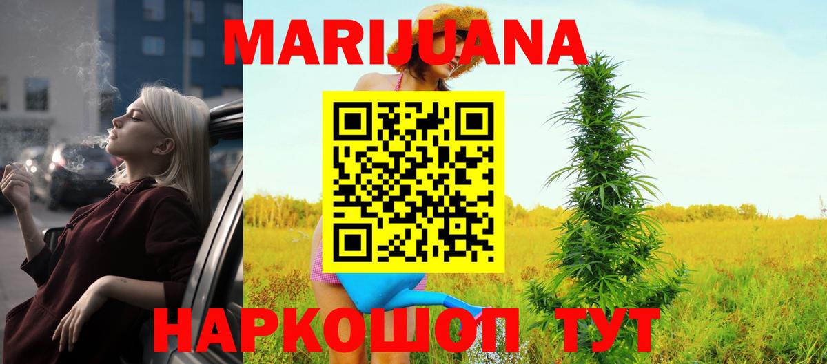 Конопля OG Kush Северск